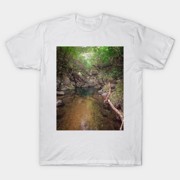 Hiji Falls Creek T-Shirt by jswolfphoto